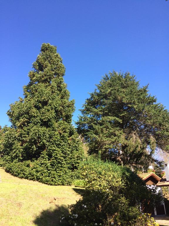 Vila Chale Aconchegante Monte Verde  Exteriér fotografie