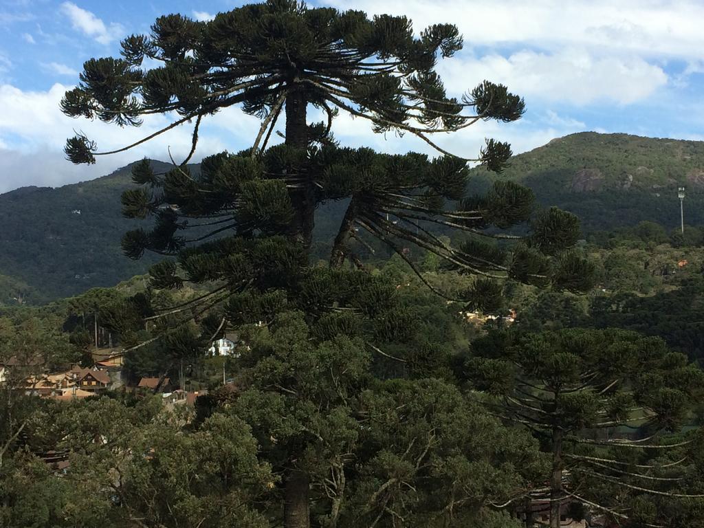 Vila Chale Aconchegante Monte Verde  Exteriér fotografie