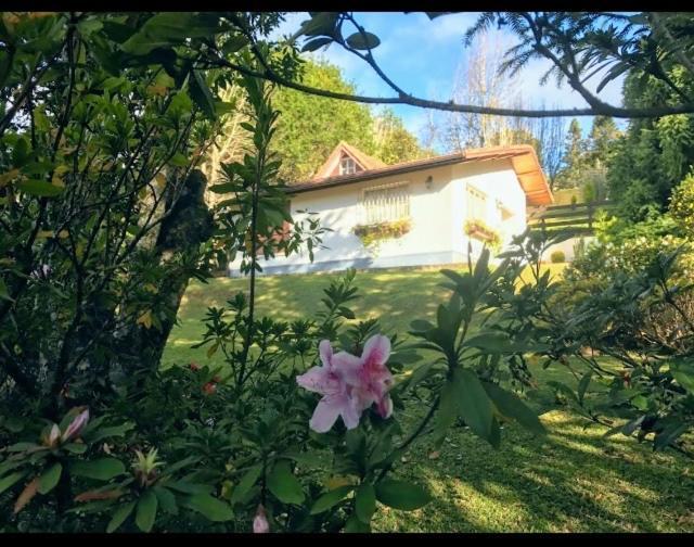Vila Chale Aconchegante Monte Verde  Exteriér fotografie